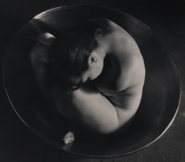 Qui a peur des femmes photographes ? : Ruth Bernhard. Embryo. 1934, tirage argentique 1955-1960, 19 x 16,5 cm sans cadre. Keith de Lellis Gallery, New York.
